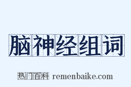 脑神经组词是什么意思的图片